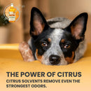 Del-Val Super Concentrated Orange Cleaner and Degreaser - An All In One Biodegradable and Non Corrosive Citric Extract Solvent, Degreaser and Deodorizer for Tough Jobs and Everyday Needs