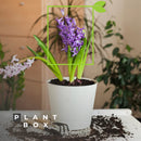 Root and Bloom Organic Plant Food Additive (OIM Certified) - Concentrated Formula of Millions of Microbes That Provide a Superior Rooting Hormone, Plant Nutrients and Flower Food For All Plants (1 QT)
