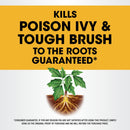 Roundup Ready-To-Use Poison Ivy Plus Tough Brush Killer, for Weeds, Grass, Stumps and Vines, Trigger Sprayer, 24 oz.
