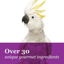 Tropical Carnival F.M. Brown's, Gourmet Macaw Food Big Bites for Big Beaks - Seeds, Veggies, Fruits, and Nuts with Probiotics