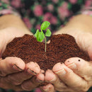 Home and Country USA Coconut Fiber Compressed Coco Coir Brick