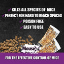 MouseX Throw Packs Bait Pellets for Mice, Pack of 6