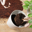 Home and Country USA Coconut Fiber Compressed Coco Coir Brick