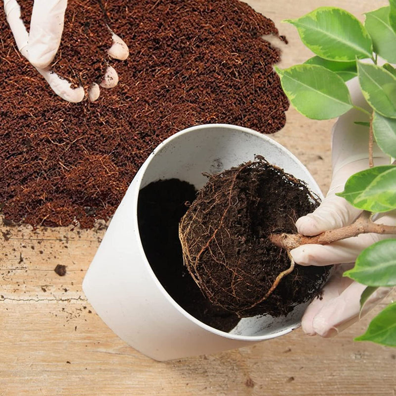 Home and Country USA Coconut Fiber Compressed Coco Coir Brick. Great to use as a Compost Starter for Your Home Garden. Coco Coir Provides Organic Alternative to peat Moss for Plants. 10Lbs Per Block