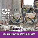 MouseX Throw Packs Bait Pellets for Mice, Pack of 6