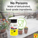 Victor M380 [Set of 2] Reusable Outdoor Fly Traps - Our Fly Trap Combination Pack is Bundled with a Fly Swatter and an Extra Refill Bait Pack of Three