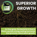 Root and Bloom Organic Plant Food Additive (OIM Certified) - Concentrated Formula of Millions of Microbes That Provide a Superior Rooting Hormone, Plant Nutrients and Flower Food For All Plants (1 QT)
