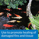 API Pond Melafix, Pond Fish Bacterial Infection Remedy, 64 oz