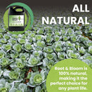 Root and Bloom Organic Additive (OIM Certified) - Millions of Super Charged Microbes Designed as a Rooting Hormone and Flower Food. Plant Nutrients to Maximize Soil Structure and Plant Health