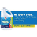 Clorox Pool&Spa Pool Algaecide