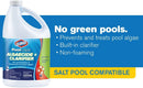 Clorox Pool&Spa 43128CLX 42128CLX Pool Algaecide