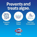 Clorox Pool&Spa Pool Algaecide