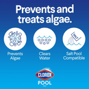 Swimming Pool Chlorine Clorox Pool And Spa Algaecide Clarifier 1 gallon (4-Pack)