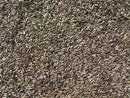 Cole's NI20 Niger Bird Seed, 20-Pound