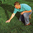 EZ-Straw Seeding Mulch with Tack - Biodegradable Organic Processed Straw _ 2.5 CU FT Bale (covers up to 500 sq. ft.)