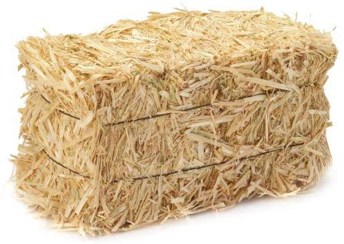 Home and Country USA Real Full Size Straw Bale, 35" x 19" 12", for: Autumn Fall Decorations, Bedding, Over Seeding,