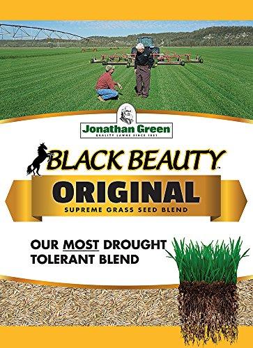 Jonathan Green 10316 Black Beauty Grass Seed