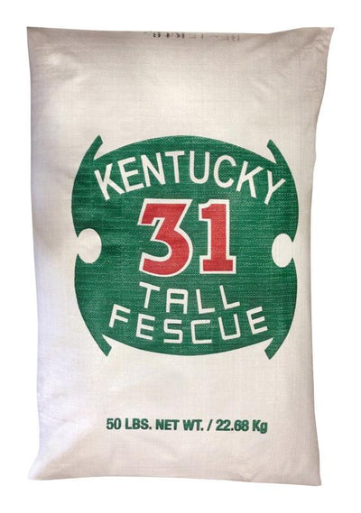 Barenbrug Kentucky 31 Tall Fescue Grass Seed