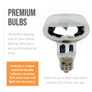 Zoomed 100W Basking Bulb Reptile Heat Lamp (2 Pack) with 10 Pound Bag of Desert Heat Reptile Sand - The Perfect Starter Pack for All Types of Reptiles.
