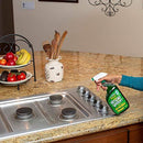 Simple Green All Purpose Cleaner, 22 oz (Pack of 3 bottles)