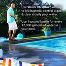 Clorox Pool&Spa Shock XtraBlue 1