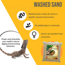 Zoomed 100W Basking Bulb Reptile Heat Lamp (2 Pack) with 10 Pound Bag of Desert Heat Reptile Sand - The Perfect Starter Pack for All Types of Reptiles.