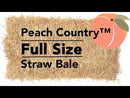 Peach Country Real Full Size Straw Bale for: Autumn Fall Decorations, Bedding, Over Seeding